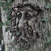 giftz Treant Fairy Elf Pixie Door Garden Ornament Figurine Statue