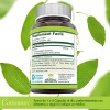 Bromelina Enzima Digestion Anti Infamatoria Mayor Absorcion Sabor Sin Sabor