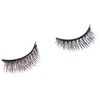 PARENCE Magnetic False Eyelashes - Easy to Apply - Lightweight