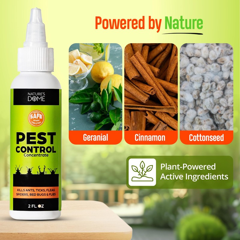 Indoor Bug Spray Safe for Pets – Natural Pet &