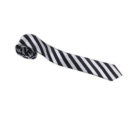 CB4 Accessories The Worst Witch Mildred Hubble - Black/White Stripe Ties - Book Week