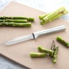 RADA Cutlery 3-Piece Paring Knife Galore Knife ProPak (DS01), Stainless