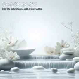 B4Nine Essentials Unscented Solid Conditioner Bar Deep Moisturization for All Hair Types Nourishing Sensitive Scalp Color-Safe with Natural Ingredients Cocoa butter Shea Butter Blank Slate 3.5oz