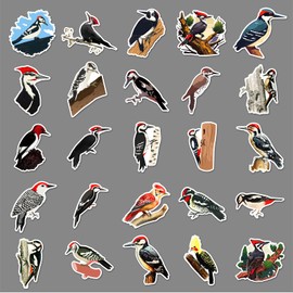 50PCS Woodpecker Stickers,Bird Stickers,Teens Boys and Girls Sticker Pack Vinyl Skateboard Guitar Door Laptop Luggage Car Bike Water Bottle Birthday Party Supplies Stickers
