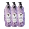 ShowerMate 샤워메이트 블루밍 바디워시 라일락 앤 라벤더 900ml X 6개 Shower Mate Blooming Body Wash Lilac & Lavender 900ml x 6