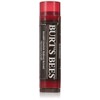 Burt's Bees, Lip Balm Tinted Daisy, 0.15 Ounce