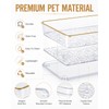 Clear Acrylic Tray, 6 Pack Acrylic Serving Trays Deep Serving