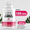 Cetonas de Frambuesa 500mg - Uno al día - Premium,