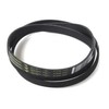 Hutchinson - Washing Machine Belt 8PHE 1204 (L461973085281)