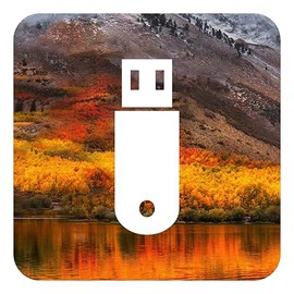 D-S Systems Installation-Bootstick kompatibel mit MacOS 10.13 High Sierra OS X Bootfähiger Bootable USB für Installation / Update / Downgrade