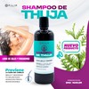 Shampoo De Thuja Filip - Anticaida