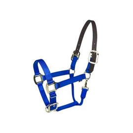 Gatsby Gold Nylon Breakaway Halter Horse Blue