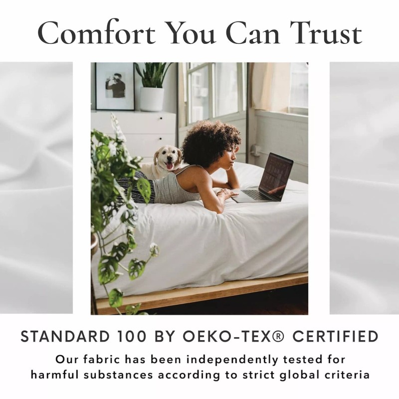 Bamboo Bay 4 Piece Queen Sheet Set - 100% Viscose