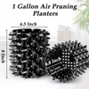 RooTrimmer 1 Gallon Air Pruning Containers, New Plastic Nursery Pots,