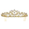 SAMKY Flower Leaf Crystal Pageant Bridal Tiara Crown - Clear