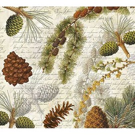 Set of 2 Individual Decoupage Paper Party Napkins LPINE & SCRIPT Watercolor Decor Luncheon Napkin for a Birthday holiday, Wedding, Cocktail Party