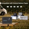 Renogy Wanderer Li 30A 12V PWM Negative Ground Solar Charge