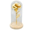 Rose in Glass Dome Lucky Beautiful Symbolism Romantic Enchanted Rose