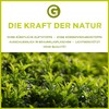 Krauseminze (Spearmint) Öl 10ml - 100% naturreines, ätherisches Öl von
