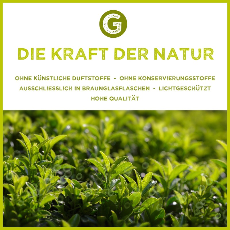 Krauseminze (Spearmint) Öl 10ml - 100% naturreines, ätherisches Öl von