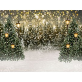Kate 10×10ft Christmas Tree Bokeh Photo Backdrop Street Lamp Deco Glitter Interior Photography Background for Xmas Photographer Photo Studio Props