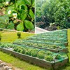 Bird Netting for Garden 13x33ft - Sukh Garden Netting Mesh