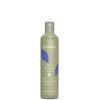 Echos Line No Yellow Shampoo 300ml