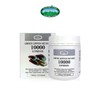 Nature's Top Green-lipped Mussel 10,000mg 180 Capsules / 네이쳐스탑 초록입홍합 10000mg 180캡슐