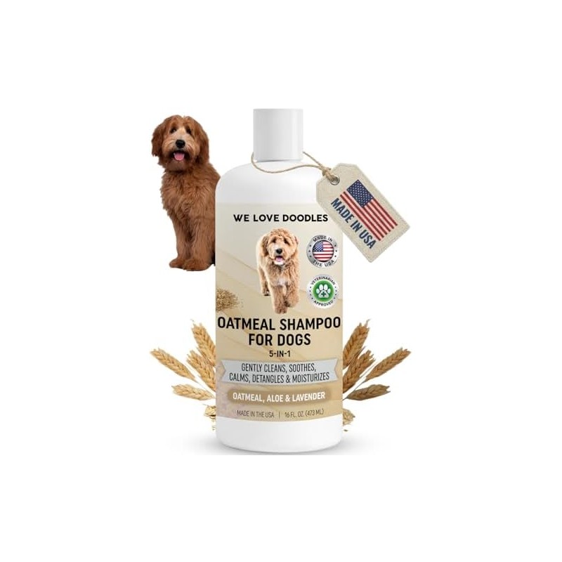 We Love Doodles- Champú de Avena Premium 5 en 1