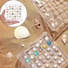 TKODNYD Acrylic Magnetic Seashell Display Box, 36 Grids Shell Storage