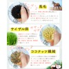 [HAPPY SINGU RABO] Scourer Scrubbing Brush with Handle, Handle, Scratch