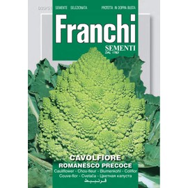 Vegetable Seeds Cauliflower Romanesco Precoce 30/51