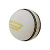 General Motors-GM Clubman Leather Cricket Ball (White)