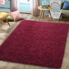 DETUM Wine Red Rug 4x6 Feet - Fluffy Burgundy Red