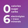 Ultima Replenisher Electrolyte Hydration Powder Raspberry Count Stickpacks Sugar Free