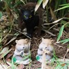 3 Pcs Gopher Ornaments Resin Simulation Animal Cat Gopher Garden