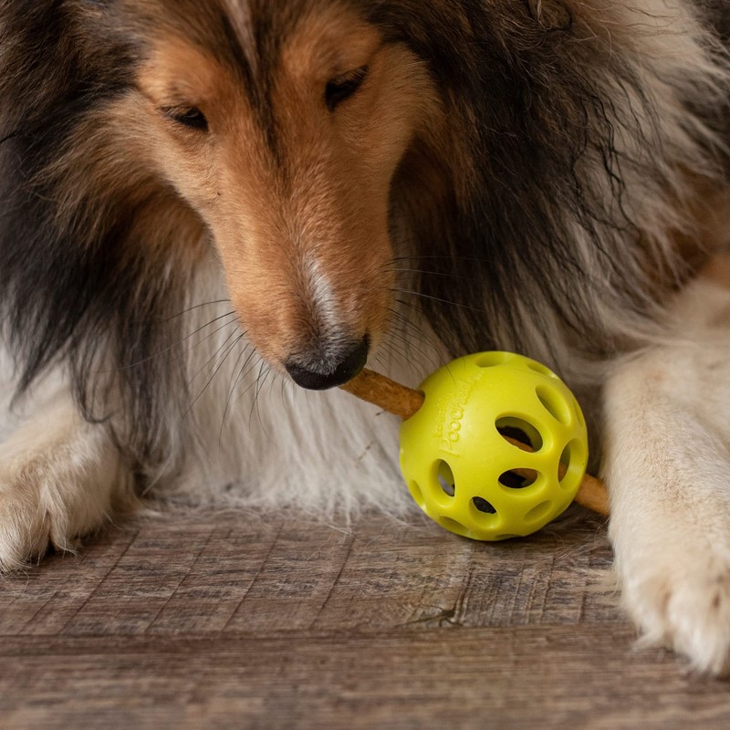 Messy Mutts Totally Pooched Huff'n Puff Ball | 2.5” TPR