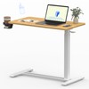 FLEXISPOT Mobile Standing Desk with Wheels Pneumatic Laptop Desk Rolling
