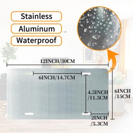 Vintage License Plate Wall Decor Metal Tin Sign for Bar Home Bedroom 12 x 6 Inches - Hell Was Full So I Came Back