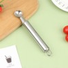 Silver Stems Remover For Pineapple Strawberry Tomato Cherry Stainless Steel