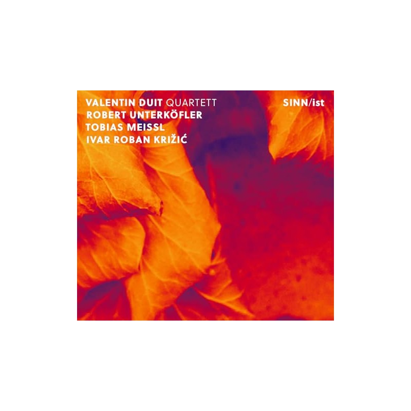 SINN/IST (輸入盤)