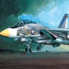 1/48 Scale F-14A US Navy Tomcat Fighter Model / 프라모델