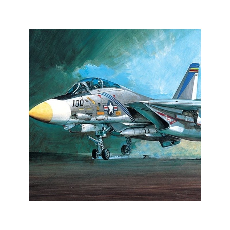 1/48 Scale F-14A US Navy Tomcat Fighter Model / 프라모델