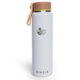Dingiz 9oz Stainless Steel Pocket Water Bottle – Mini Insulated Thermos Coffee Flask for Kids & Adults, Eco-Friendly, Compact Design for Purses, Office, School, Walking, and Travel