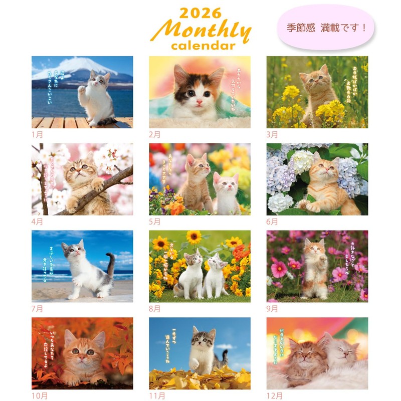 Active Corporation 2026 Wall Calendar CAT Monthly 26ACL-06, Starts January