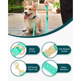 PetBonus Waterproof Dog Leash, 5 FT Odor Proof Walking Training Lead for Small Medium Dog, Adjustable Handle with Side Release Buckle (M, Mint Green)