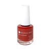 Dazzle Dry Nail Lacquer (Step 3) - Ember - A