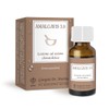 AMALGAVIS 3.0-10 ml (lozione ad azione cheratolitica)