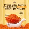 Freeze-Dried Diced Carrots - 1.76lb (28oz) Jar | Long Shelf