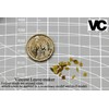 Fits Hobby 1/35 Scale Plastic Military Model Building Kit Scene